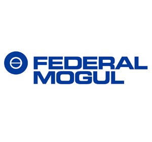 Marca Federal Mogul (Repuestos automotriz)